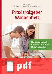 Praxisratgeber Wochenbett (E-Book/PDF)